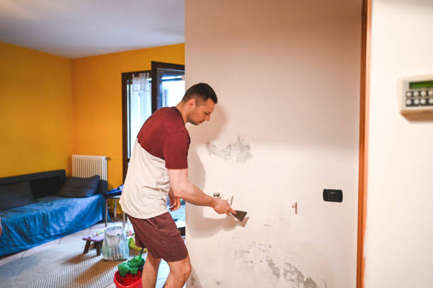 Best Emergency Mold Removal  in Mauriceville, TX
